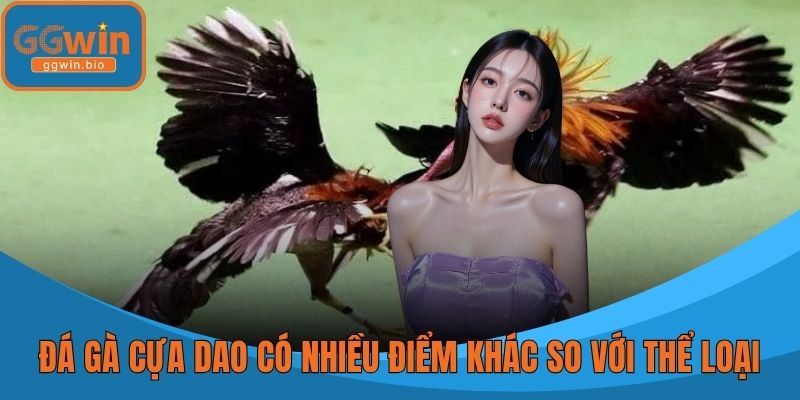 Đá gà cựa dao có nhiều điểm khác so với thể loại