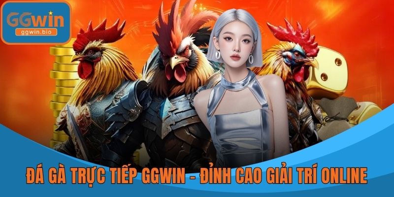 Đá Gà Trực Tiếp GGWIN – Đỉnh Cao Giải Trí Online
